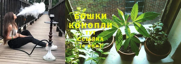 прущий лед Горняк
