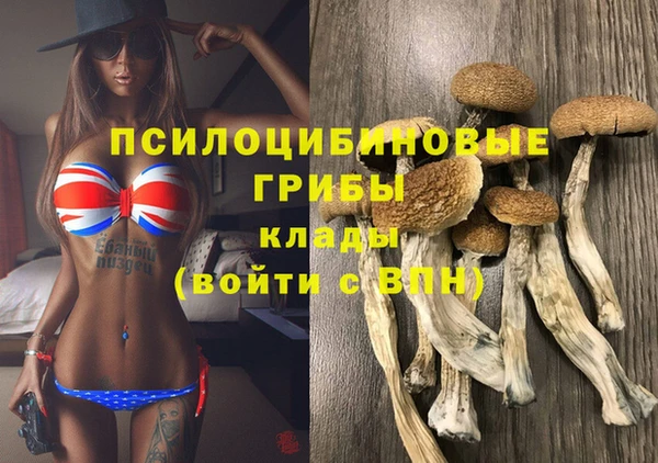 прущий лед Горняк
