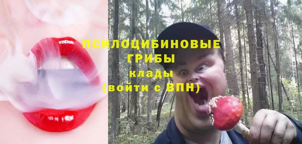 стафф Александровское
