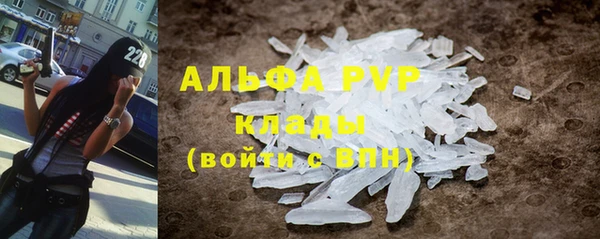 ГАЛЛЮЦИНОГЕННЫЕ ГРИБЫ Гусиноозёрск