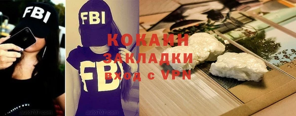 крисы Гусев